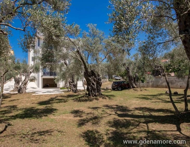 Apartments GALEB-177
